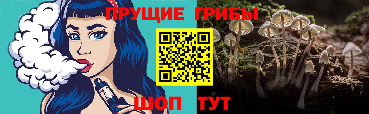 Балашов  Псилоцибиновые грибы MAGIC MUSHROOMS  Вход с VPN 